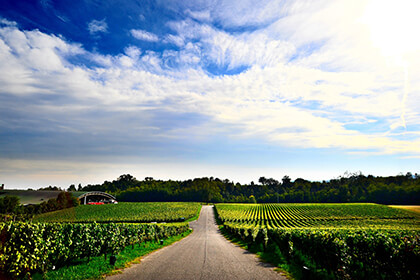 Franciacorta