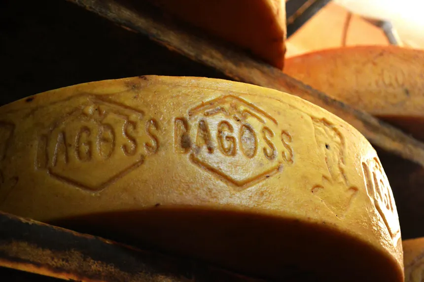 formaggio Bagòss
