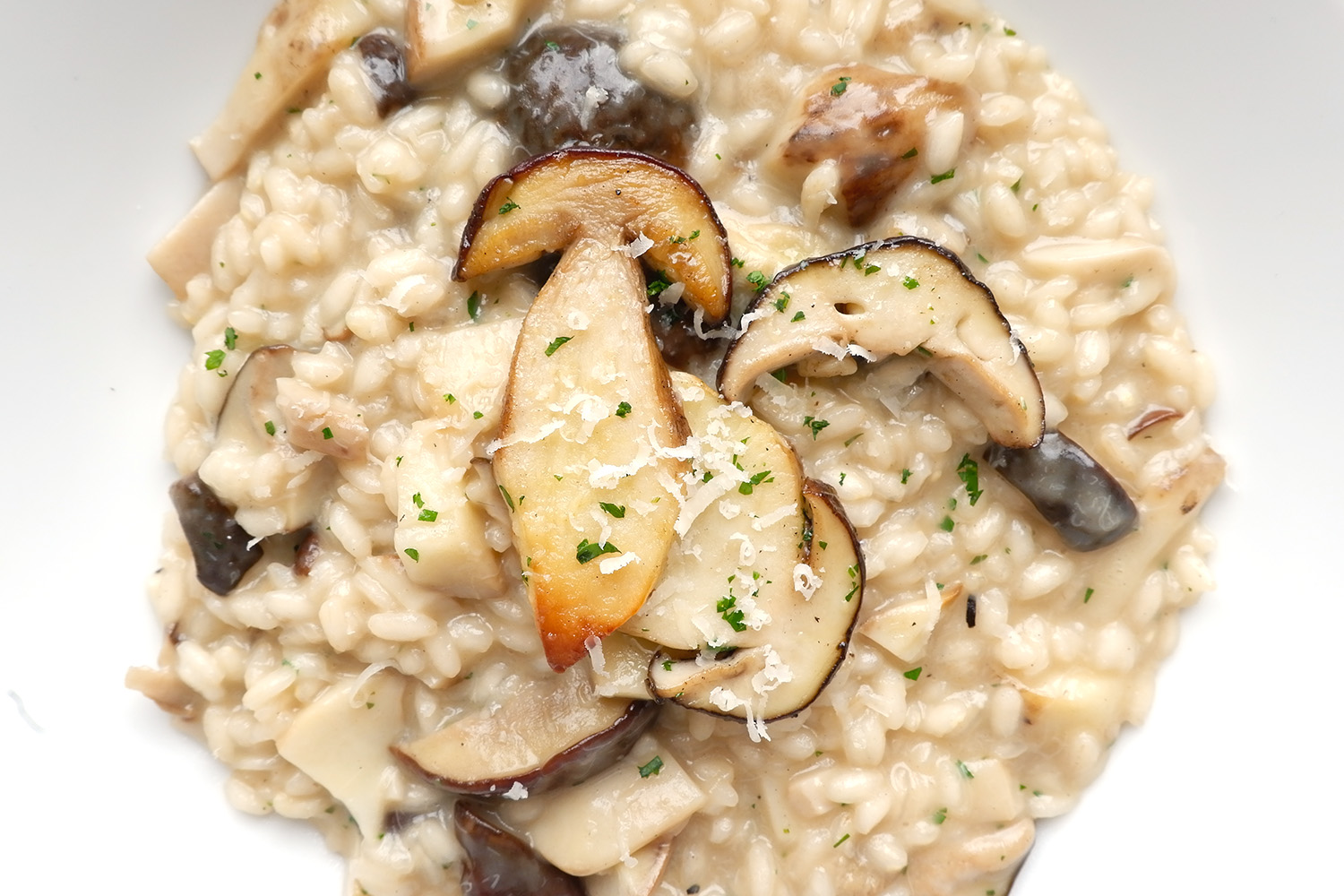 risotto funghi porcini