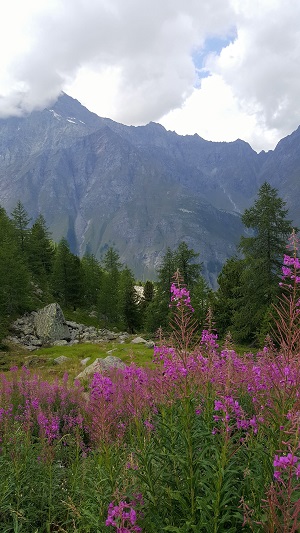 granparadiso valdi rhemes