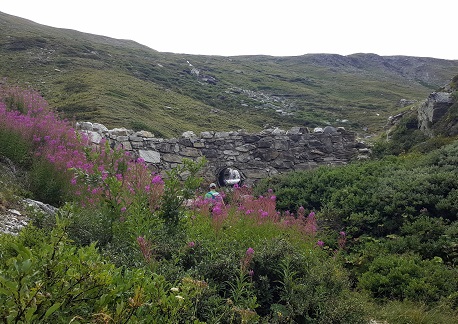 parco gran paradiso ponte romano