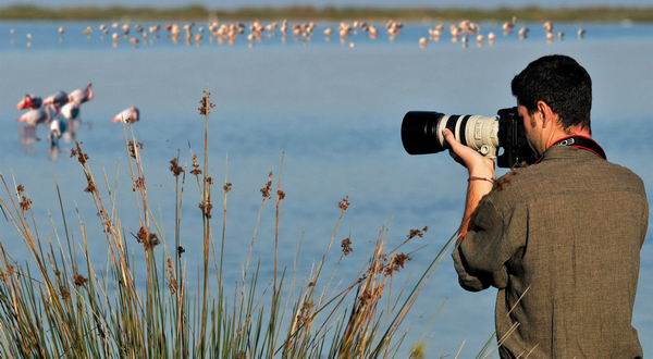 birdwatching