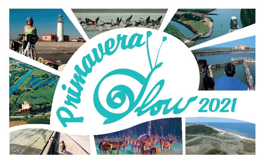 PRIMAVERA SLOW 2021 acquamarina pos