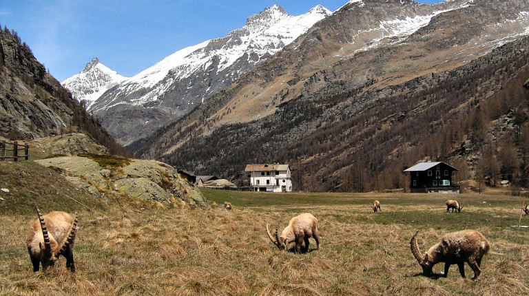 Valsavarenche Pont in centro la Grivola