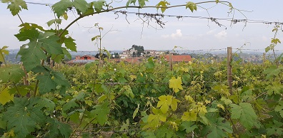 panorama2