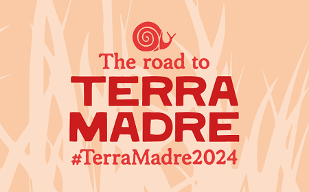 logo terra madre