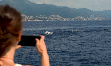 CrocierAcquario 2023