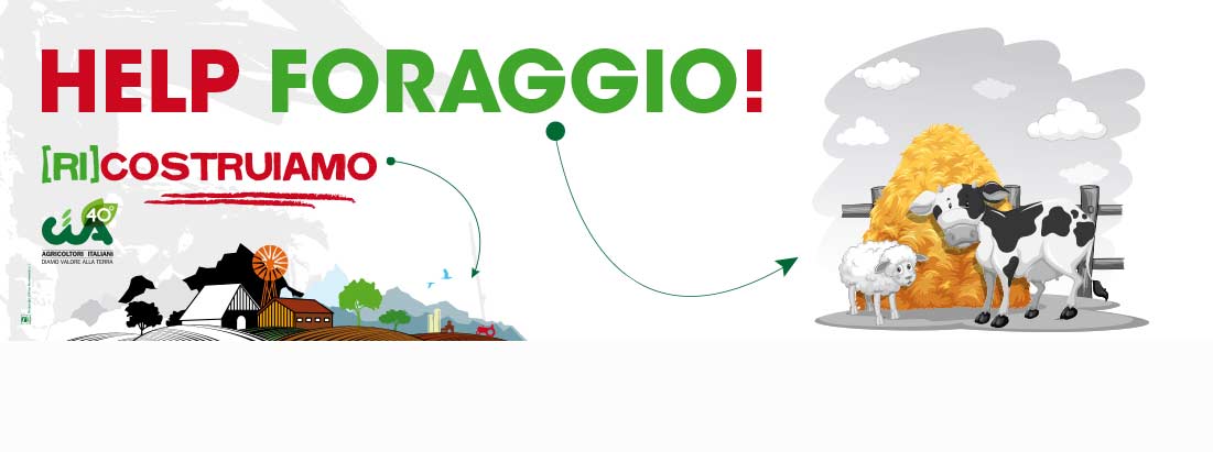 Help foraggio slider