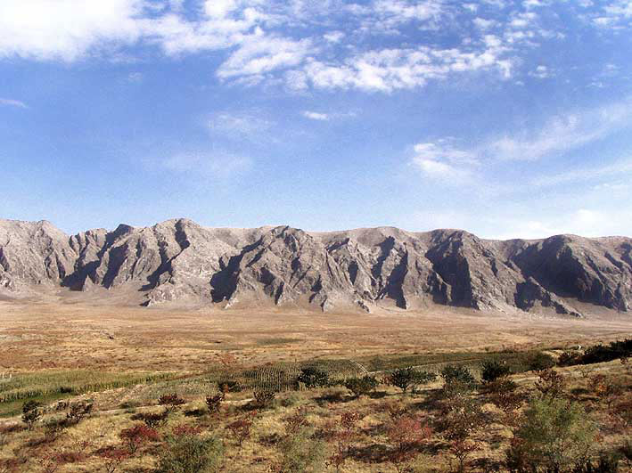 ferghana