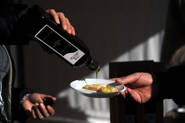 oliovignanello