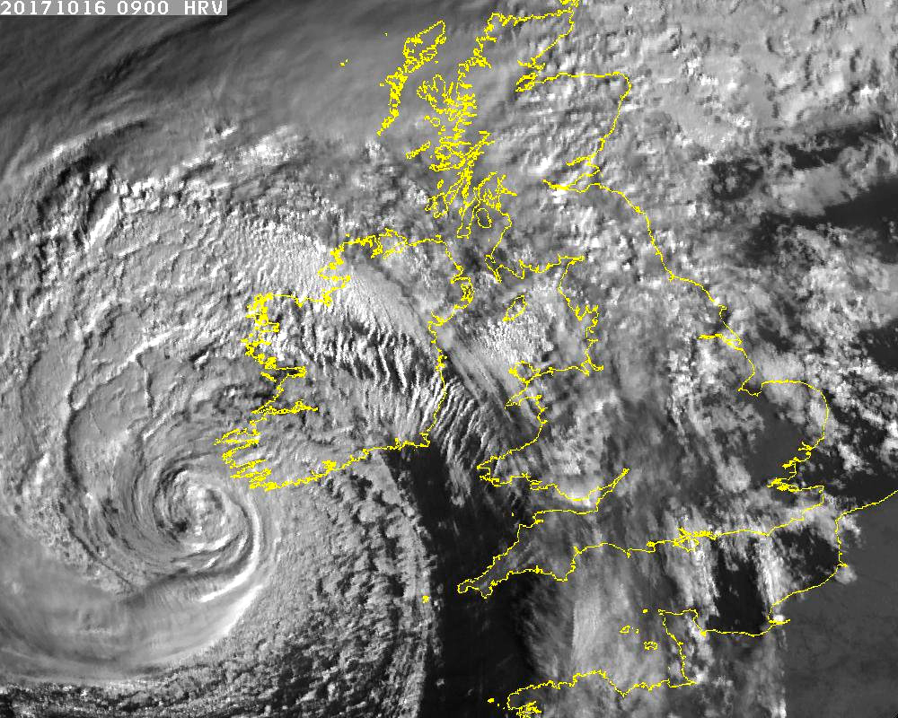 ophelia latest.jpg large