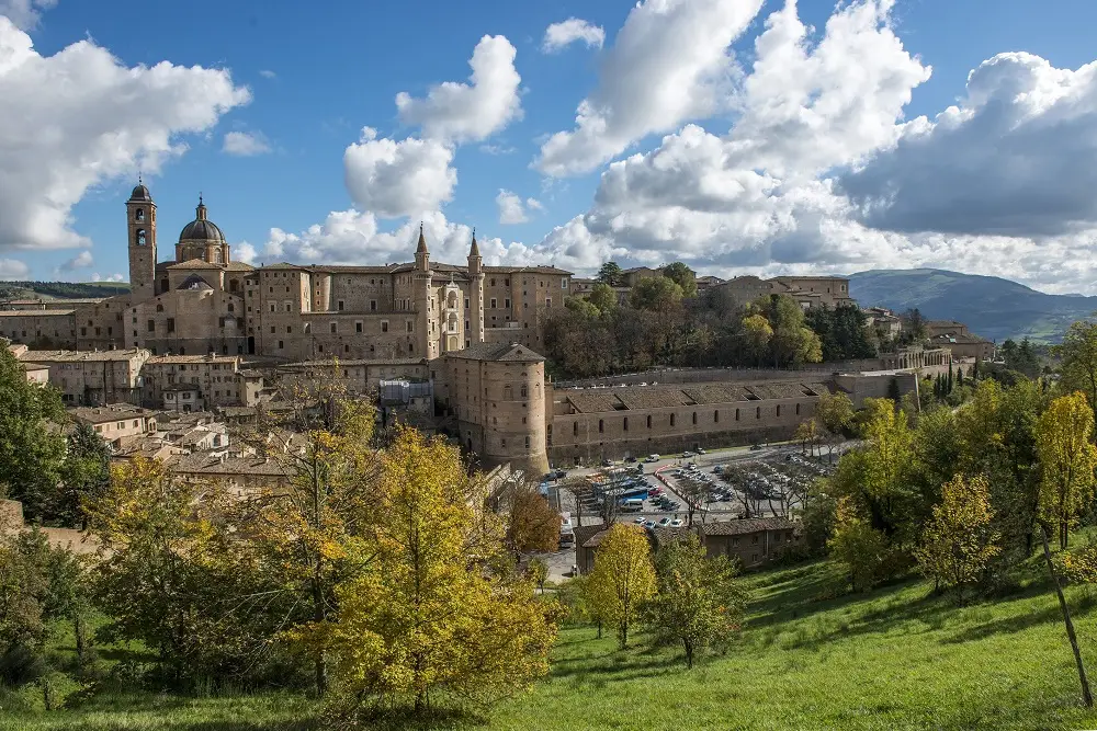 urbino