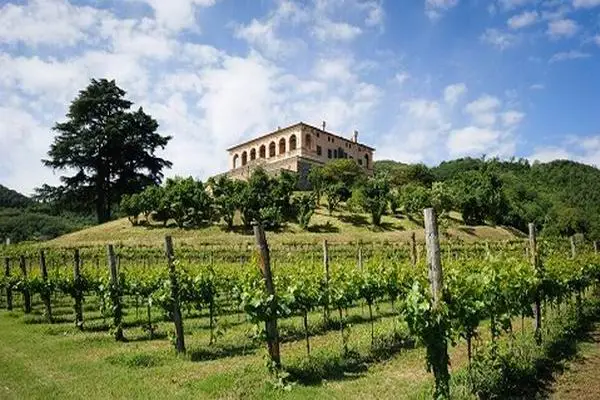 Villa dei vescovi foto istituzionalli