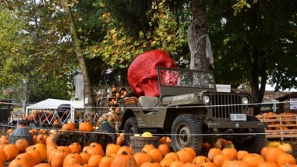 Spettacoli, laboratori e giochi: torna il campo di zucche alle porte di Milano